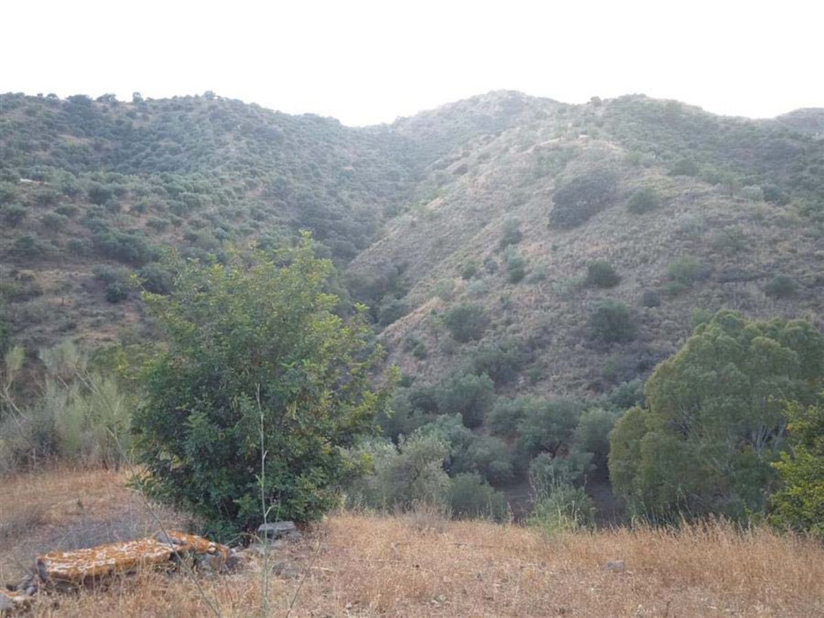 Property main view 8