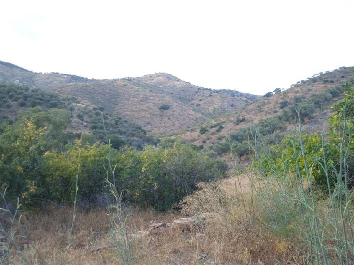 Property main view 9