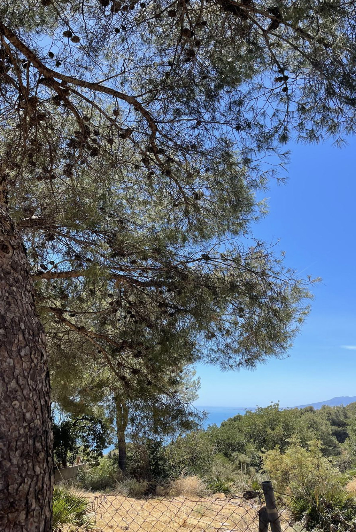 Property main view 4