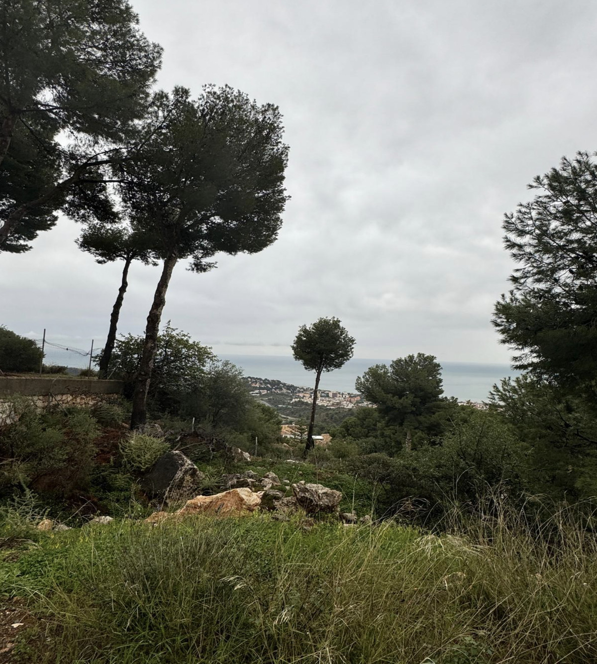 Property main view 9