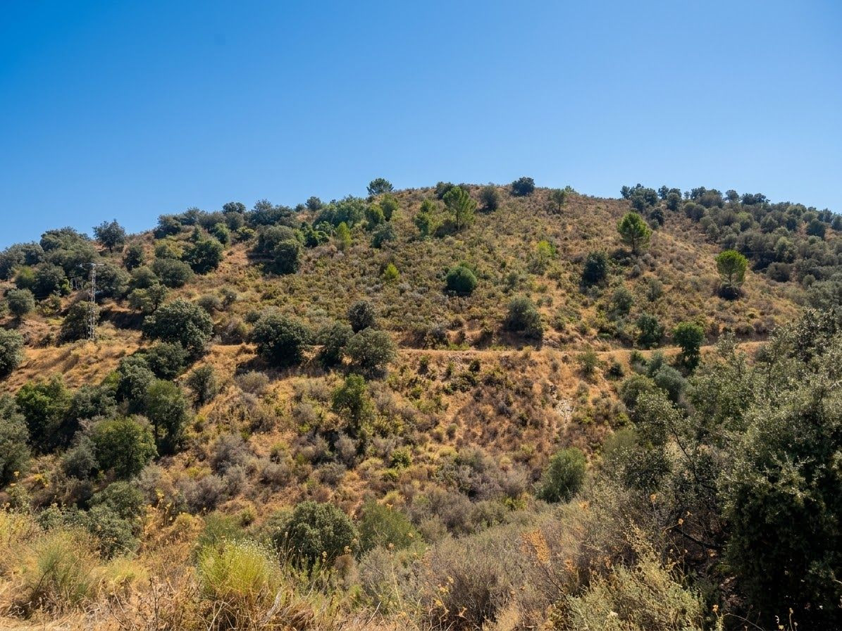 Grond te koop in Monda | 0 slaapkamers H5478760