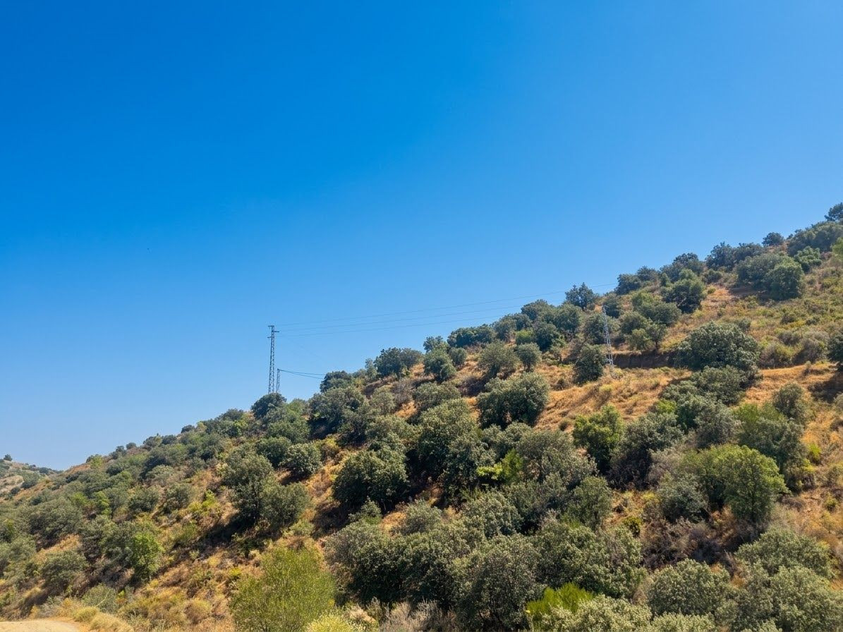 Grond te koop in Monda | 0 slaapkamers H5478760