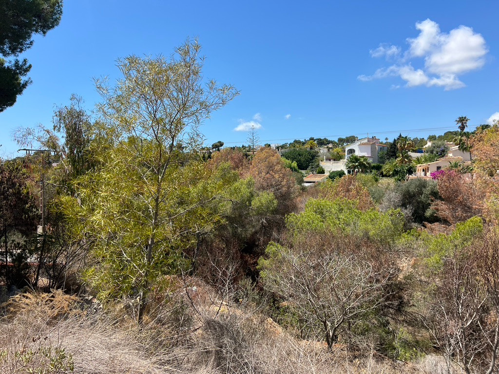 Property main view 5