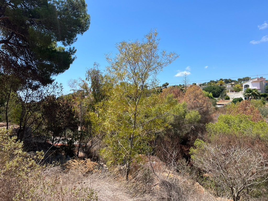 Property main view 6