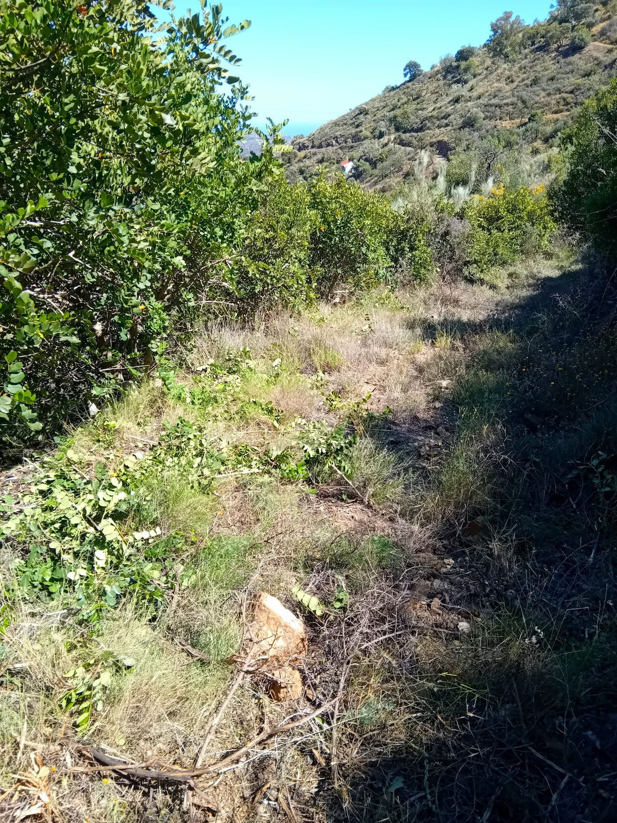 Grond in Montes de Málaga-13