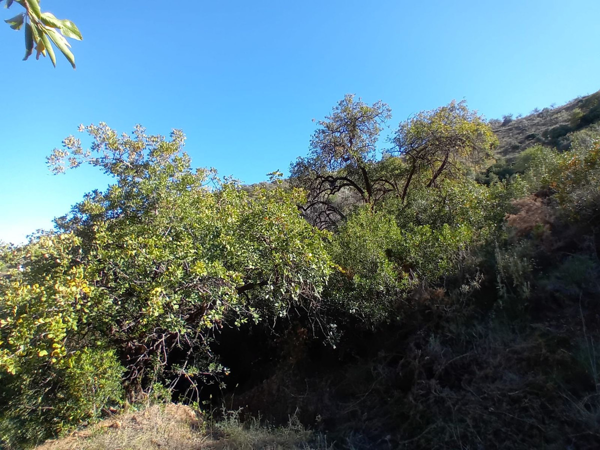 Grond in Montes de Málaga-6