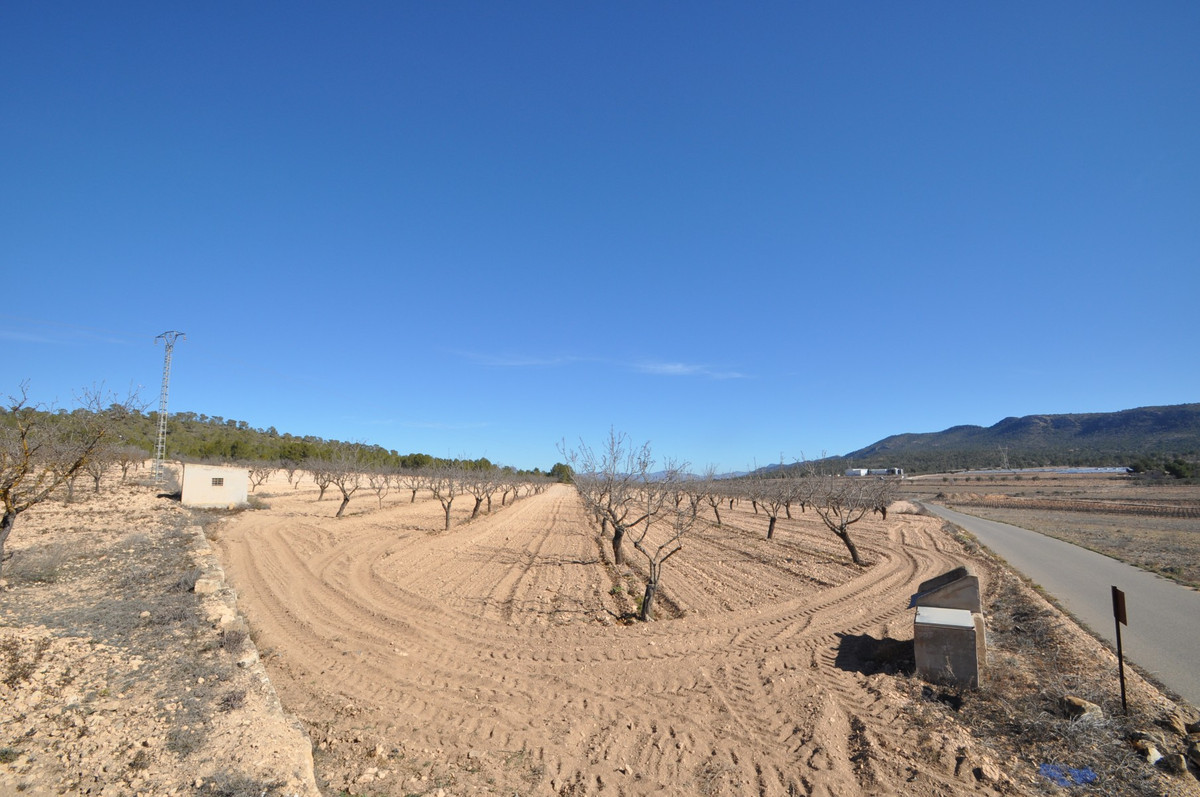 Property main view 2