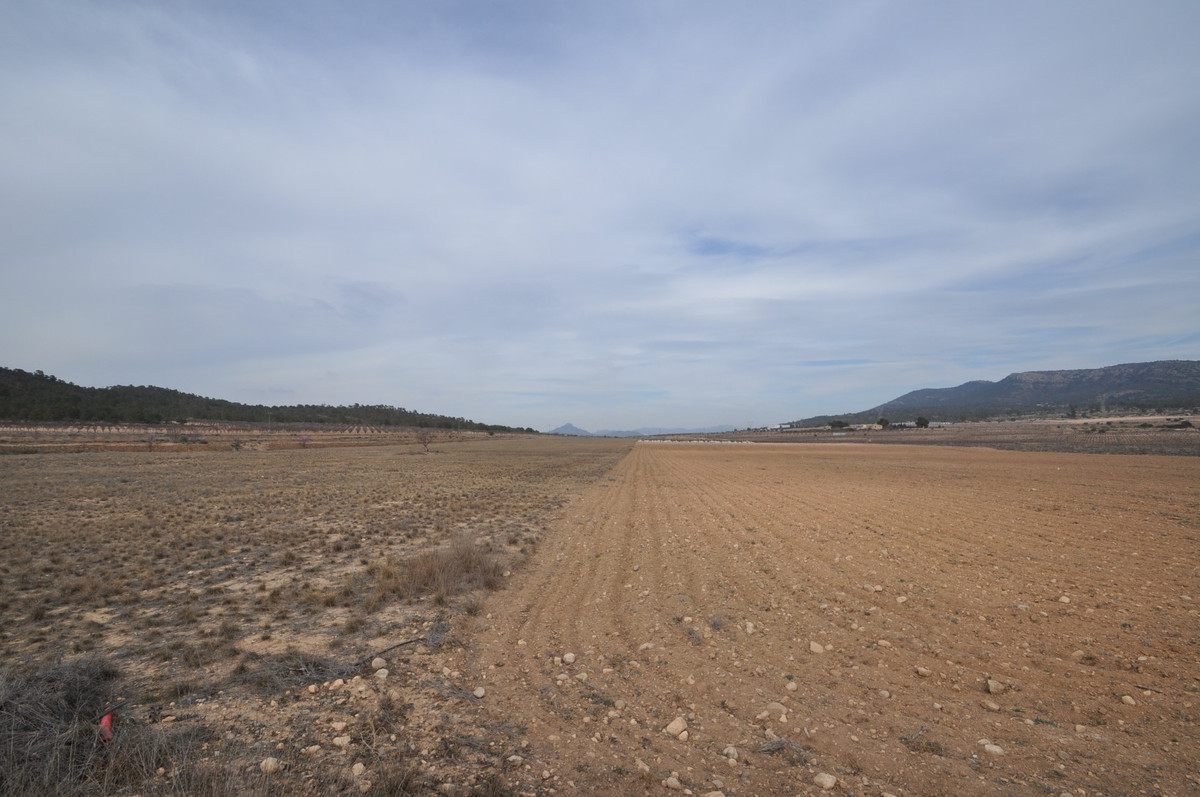 Property main view 3