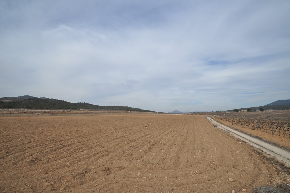 Property main view 2