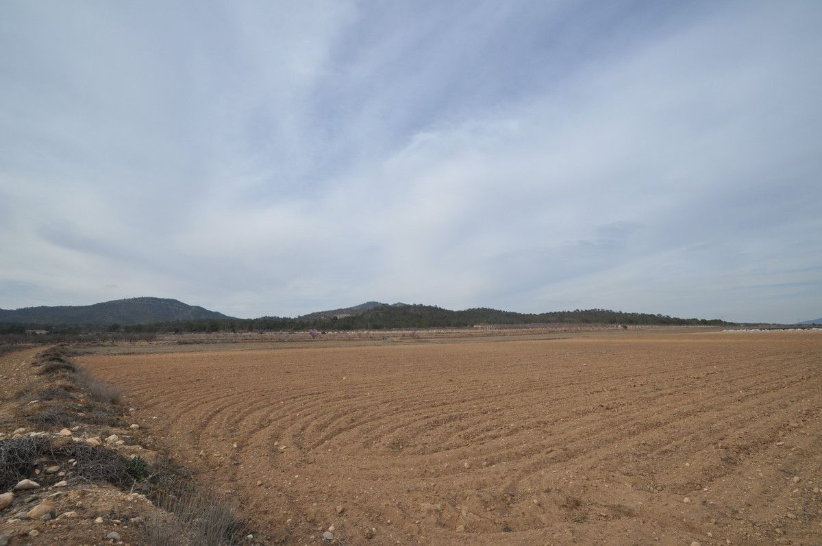 Property main view 3