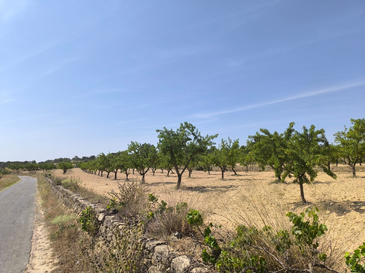 Property main view 2