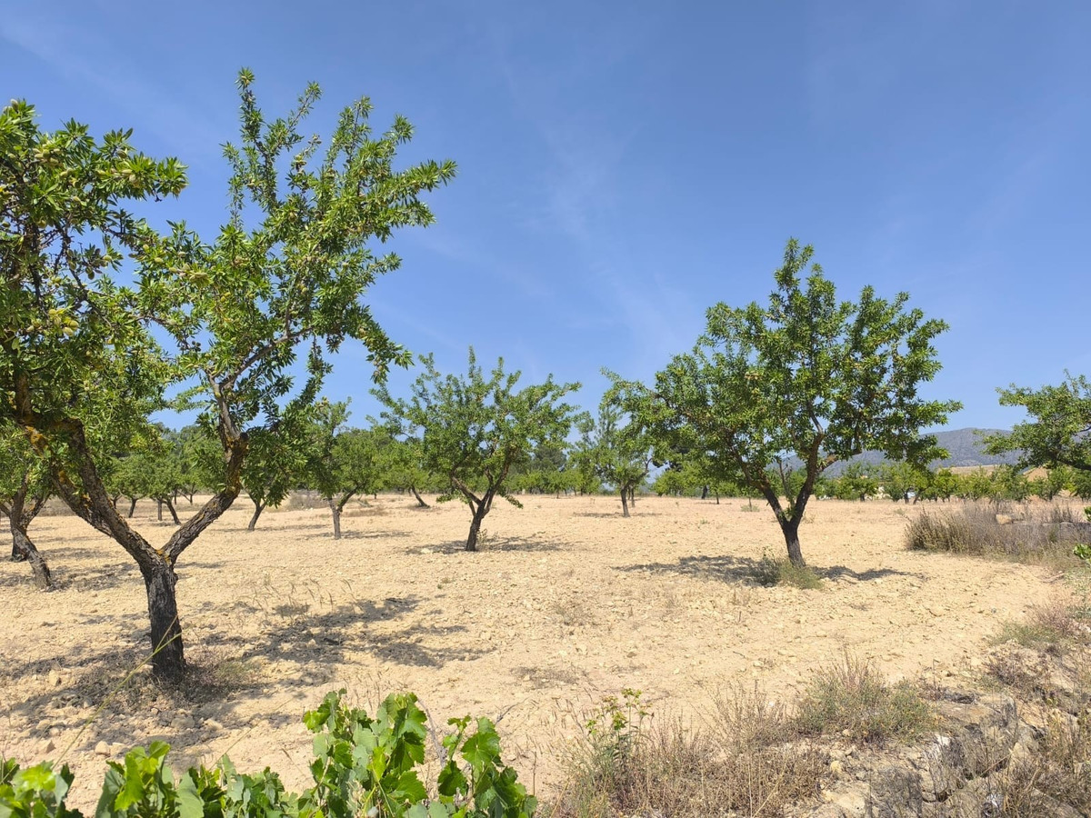 Property main view 3