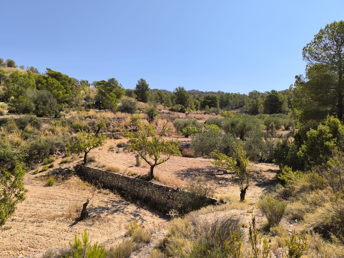 Property main view 2