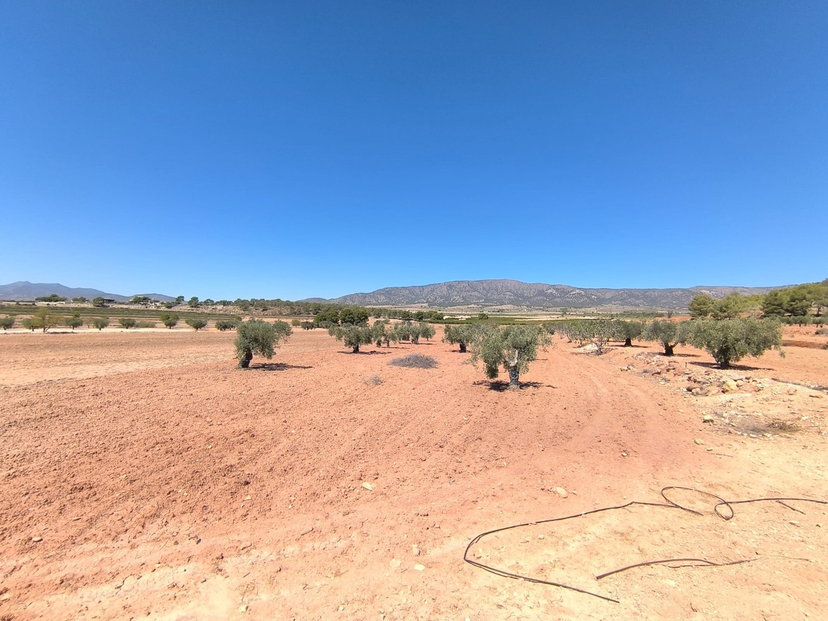 Property main view 2