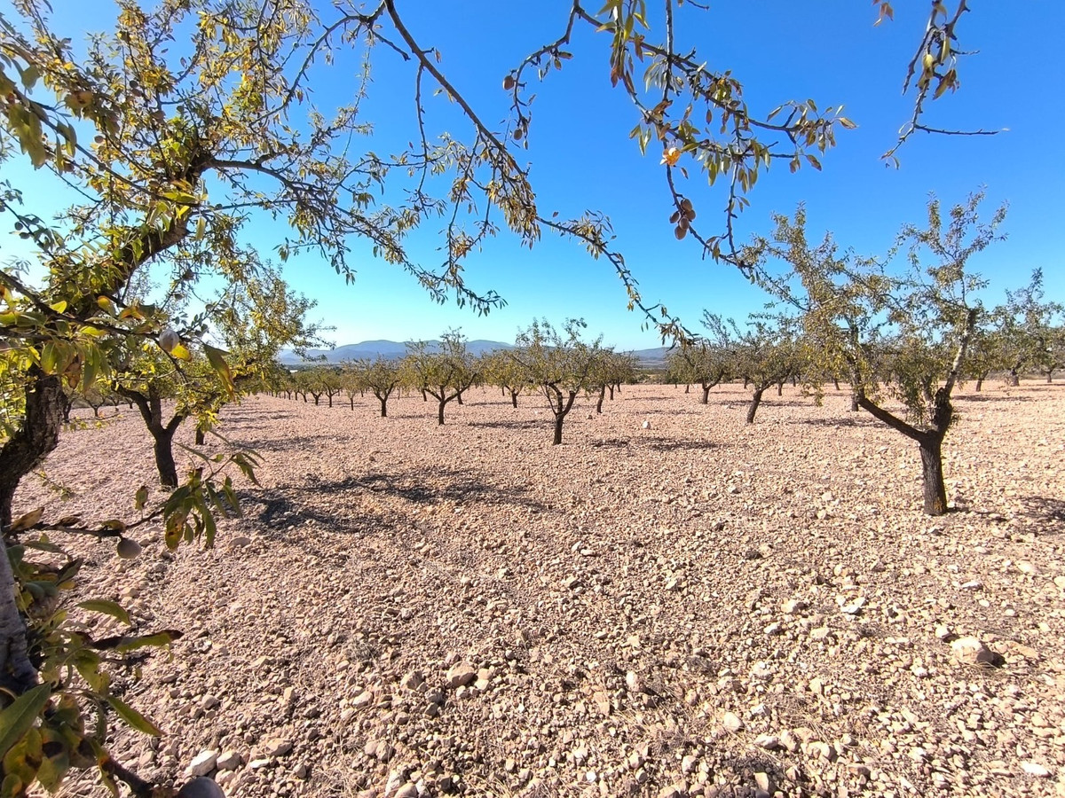 Property main view 3