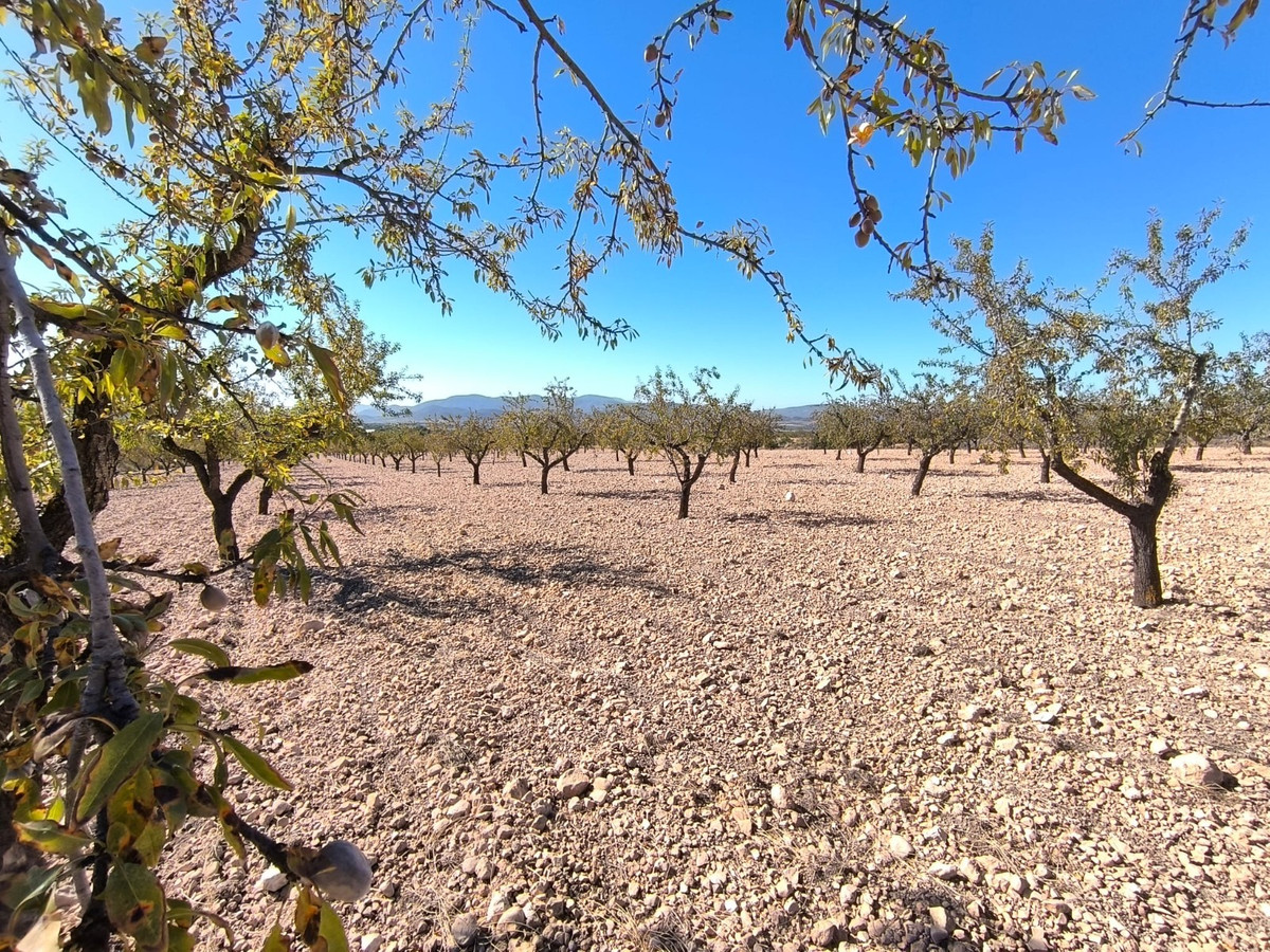 Property main view 4