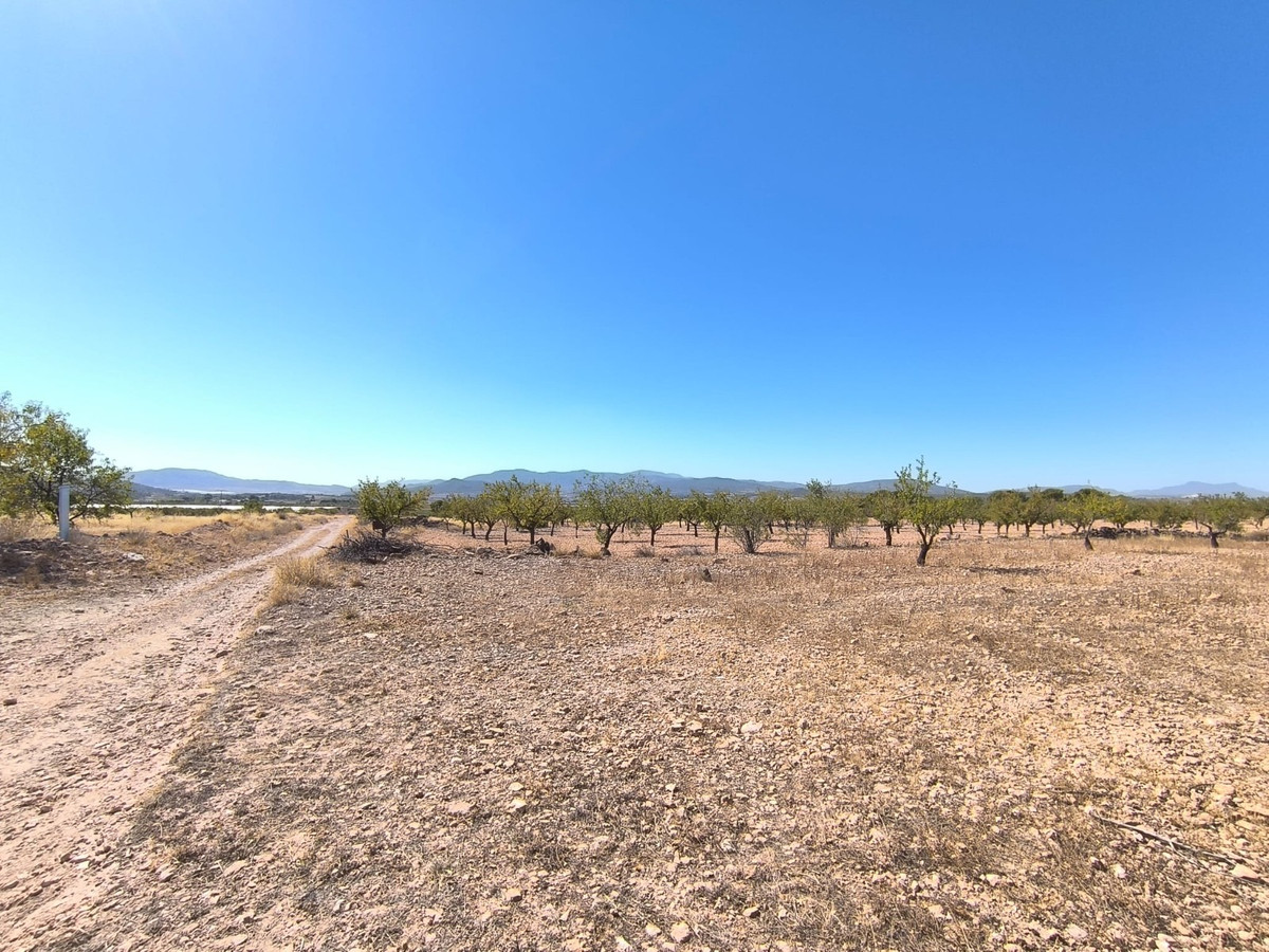 Property main view 2