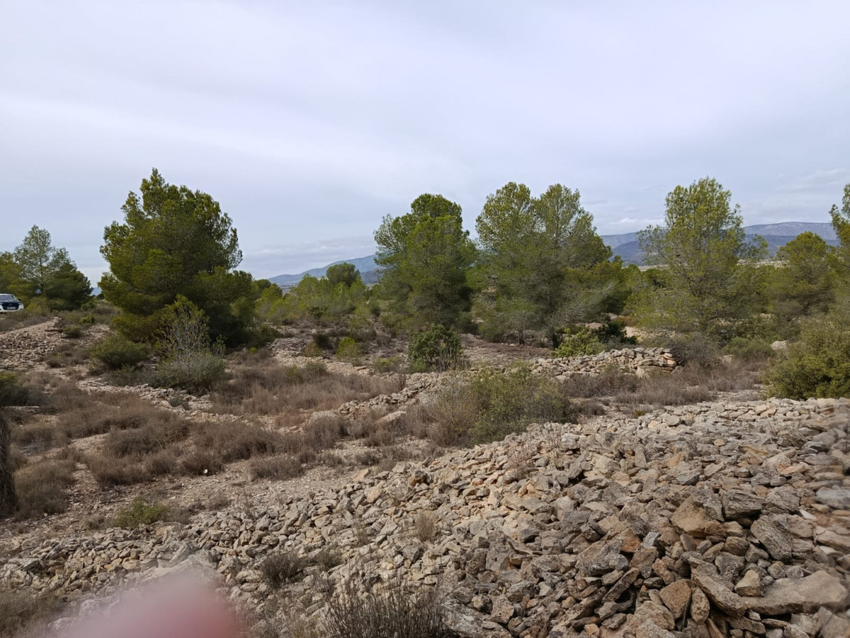 Percelen te koop in Monóvar | 0 slaapkamers H5200486