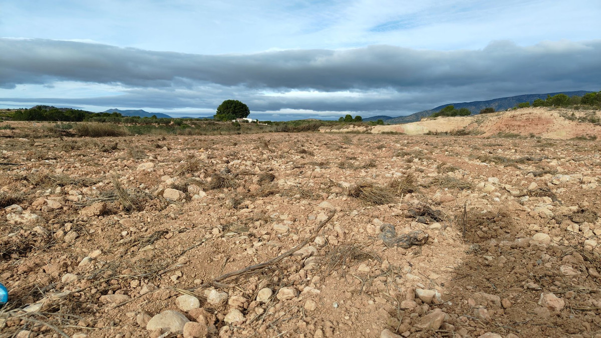 Grond te koop in Monóvar | 0 slaapkamers H5211289