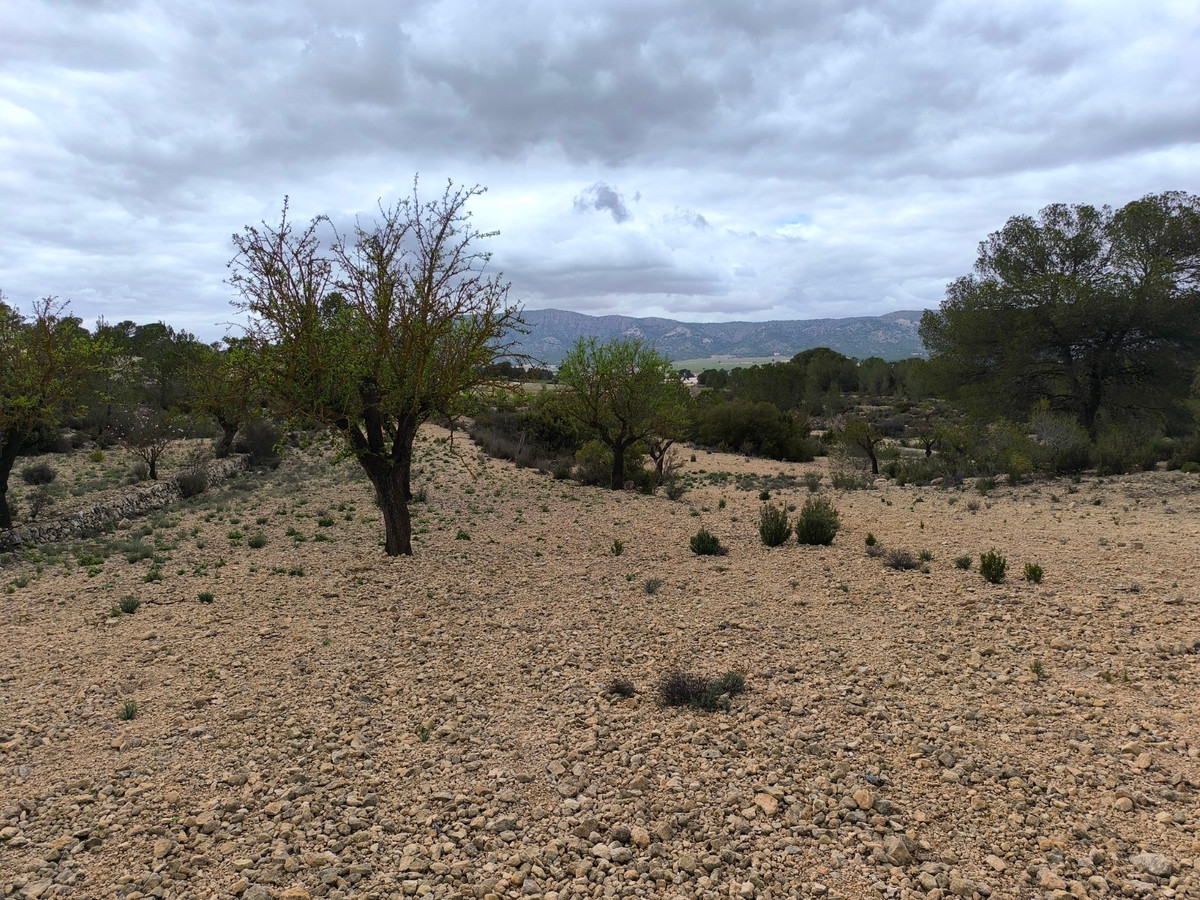 Property main view 10