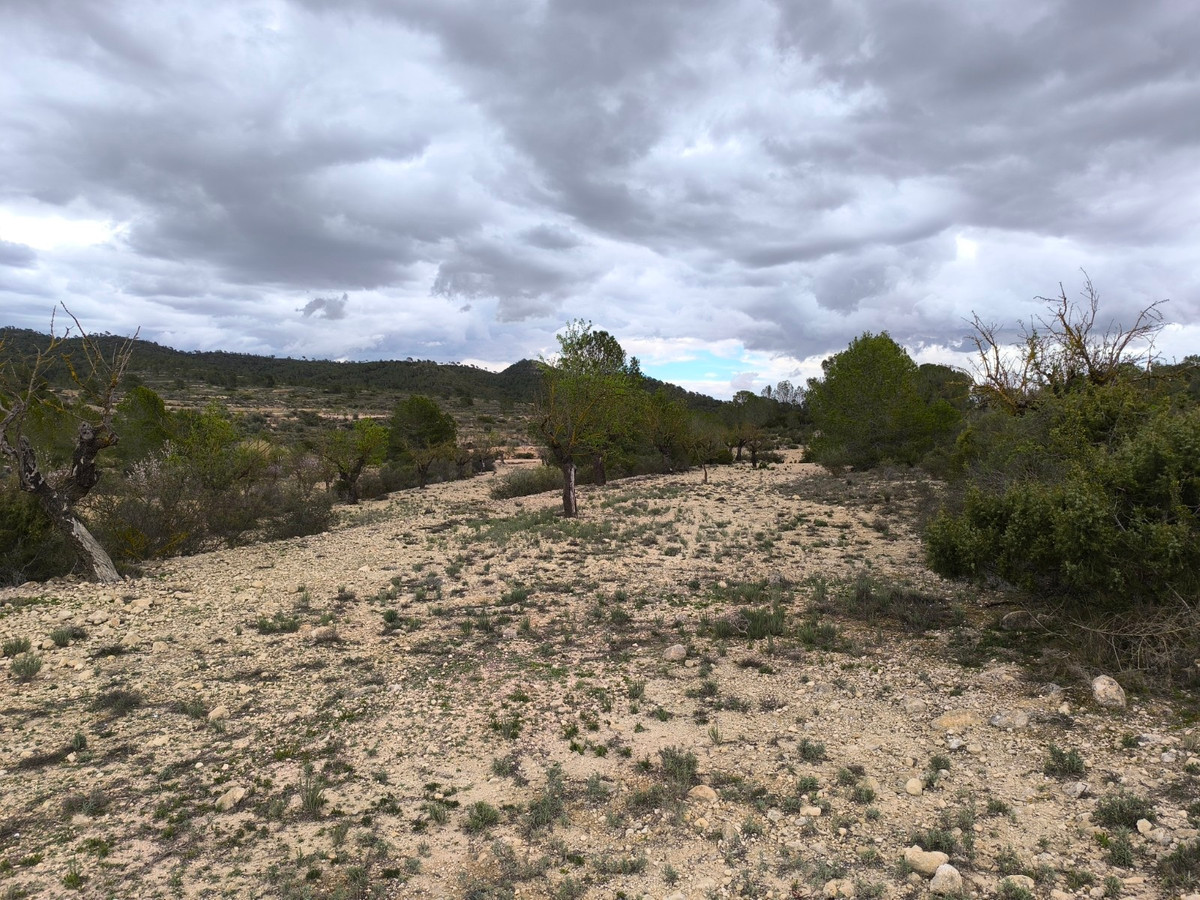 Property main view 11