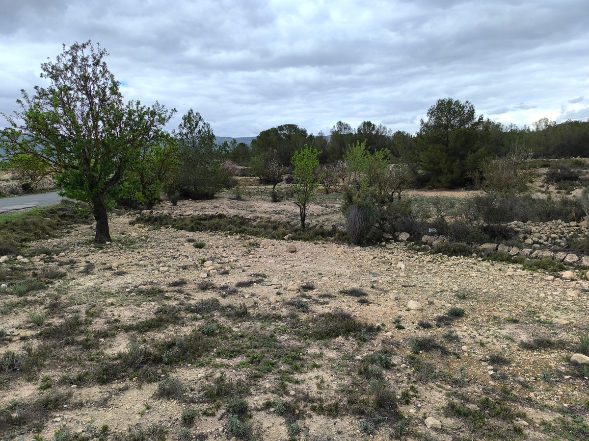 Property main view 12