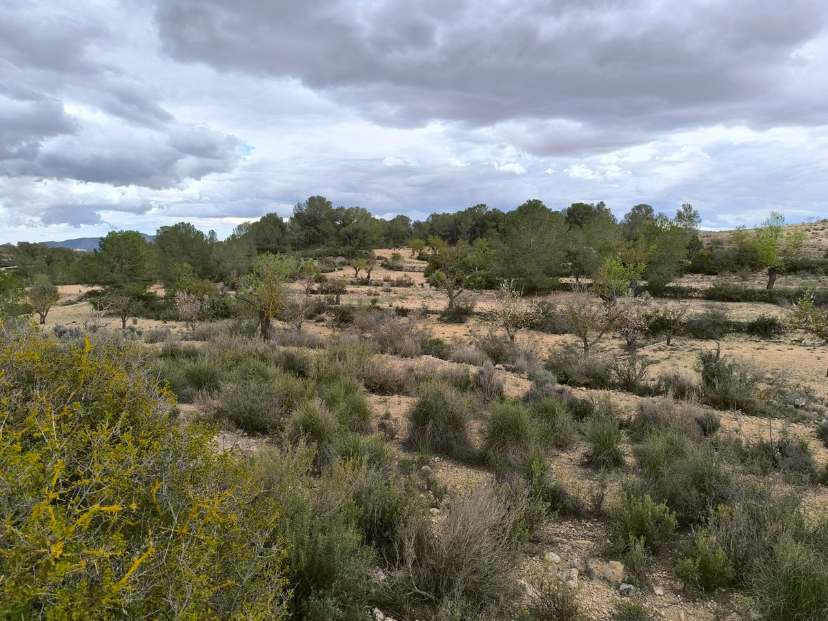 Property main view 6