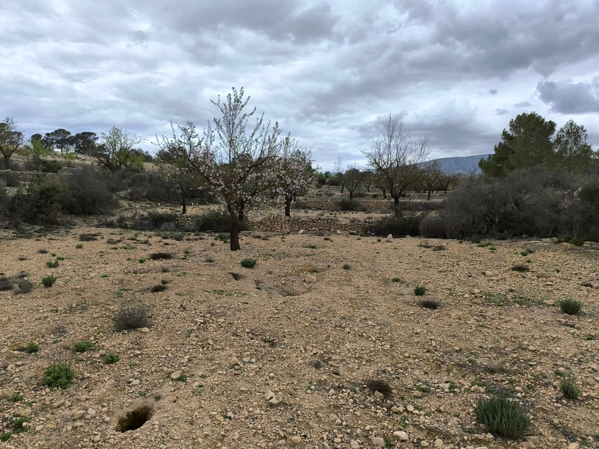 Property main view 7