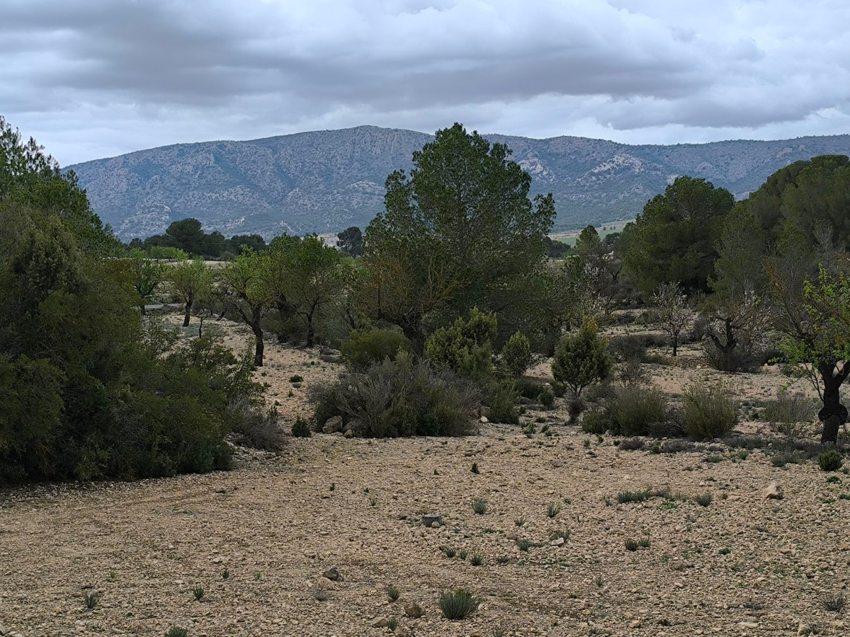 Property main view 9