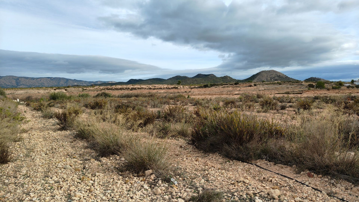 Grond te koop in Monóvar | 0 slaapkamers H5335831