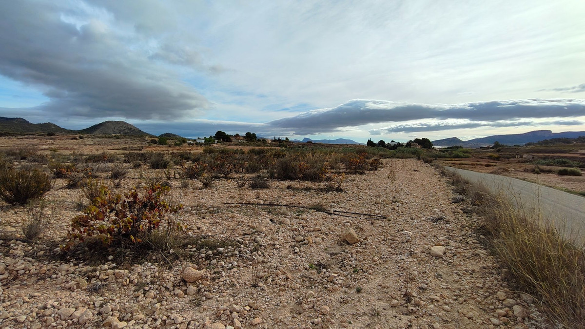 Grond te koop in Monóvar | 0 slaapkamers H5335831