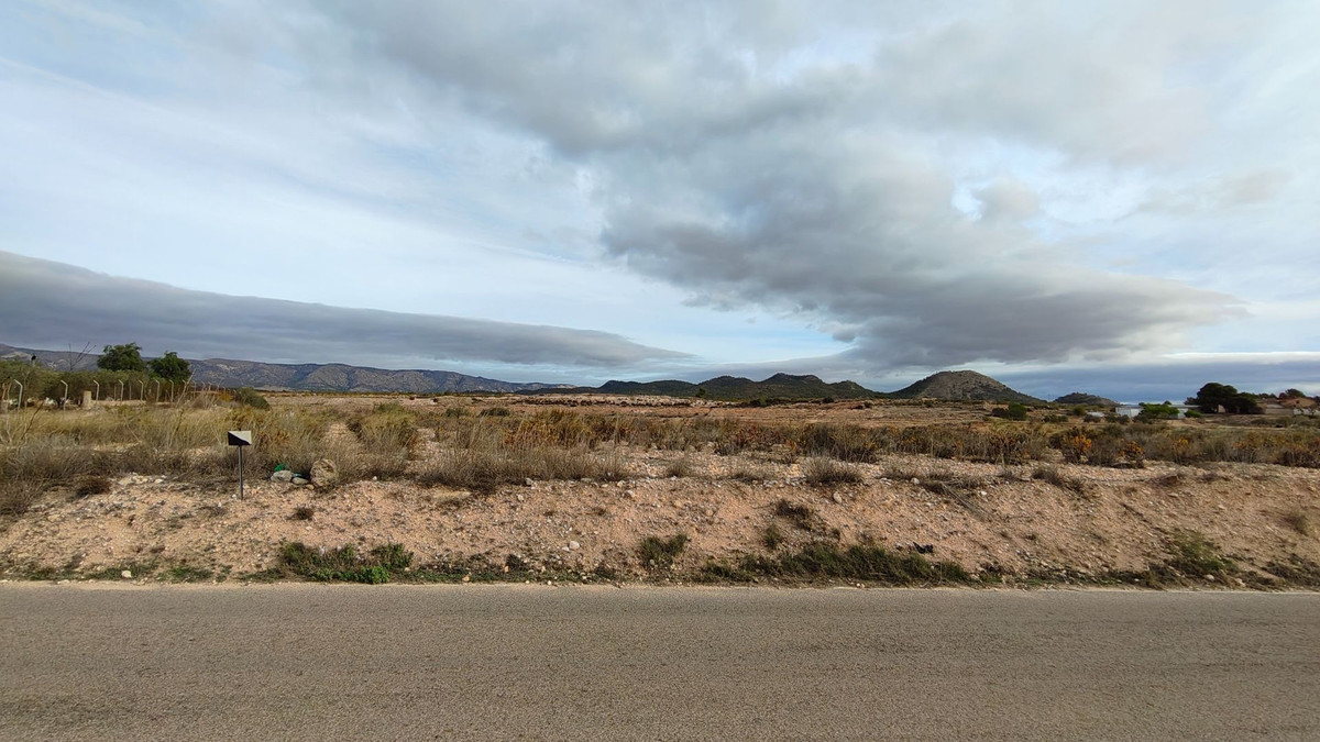 Grond te koop in Monóvar | 0 slaapkamers H5335831