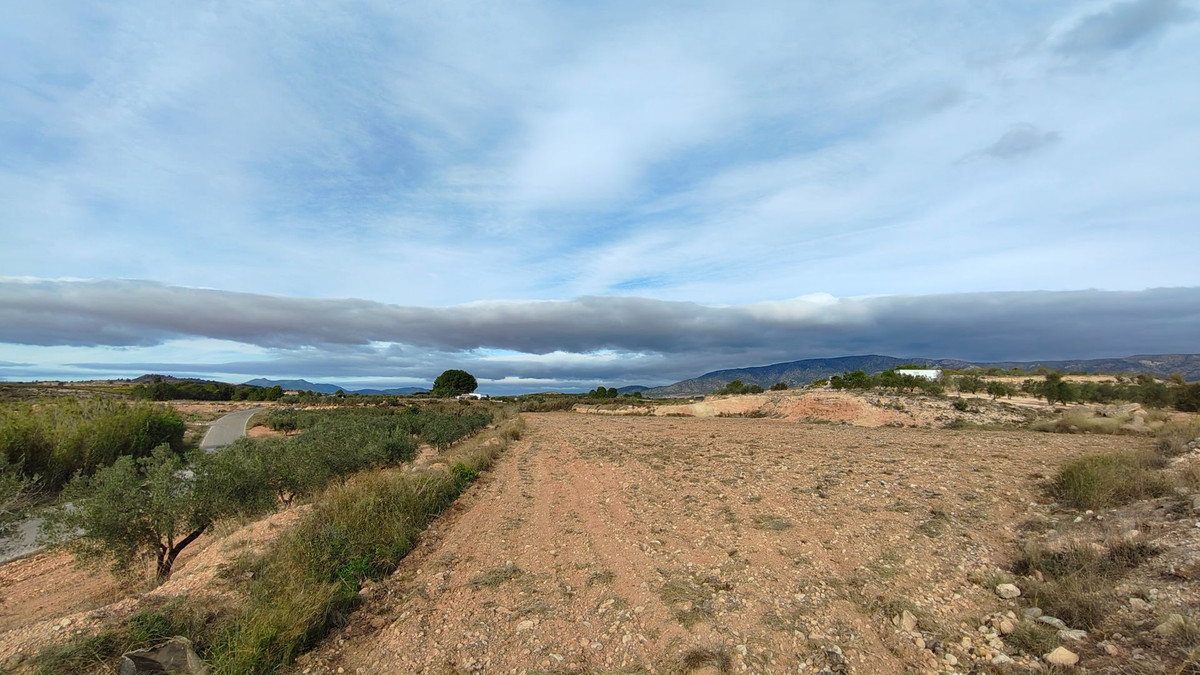 Grond te koop in Monóvar | 0 slaapkamers H5335831