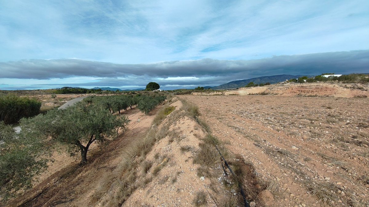 Grond te koop in Monóvar | 0 slaapkamers H5335831