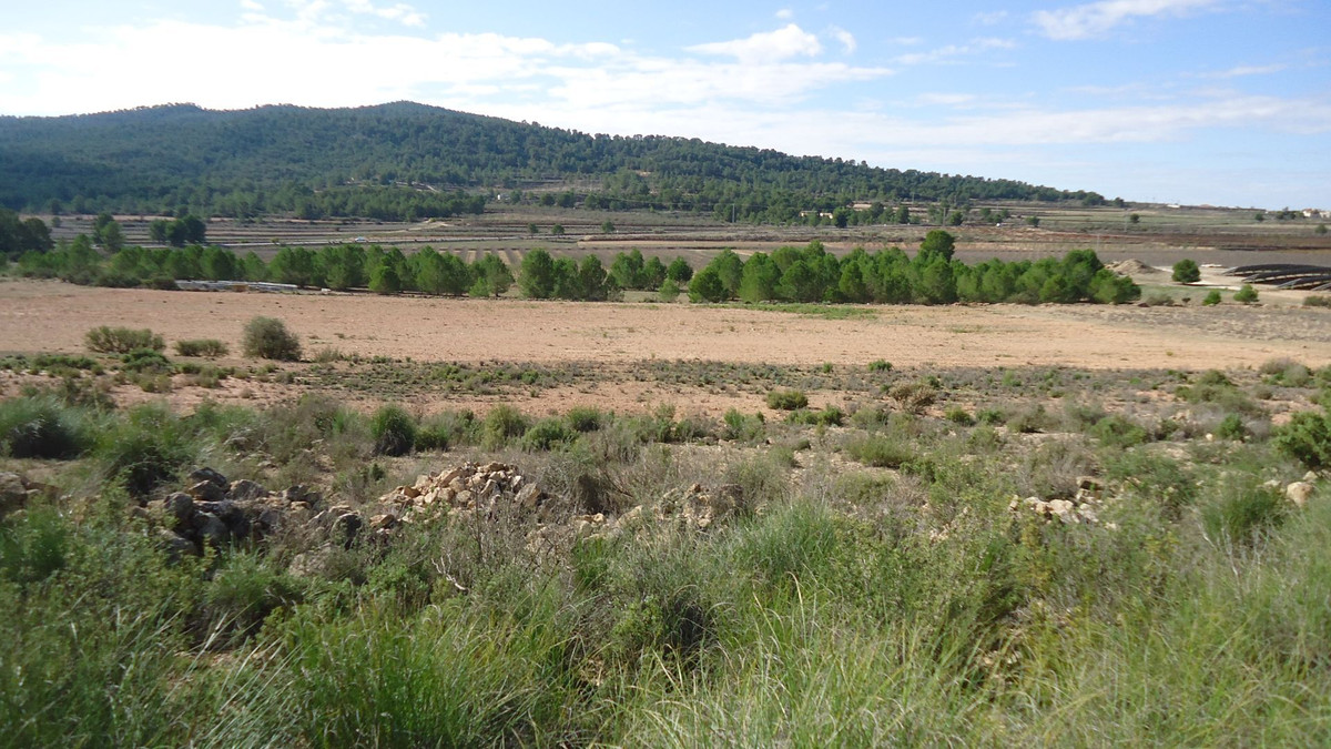 Grond te koop in Monóvar | 0 slaapkamers H5335879