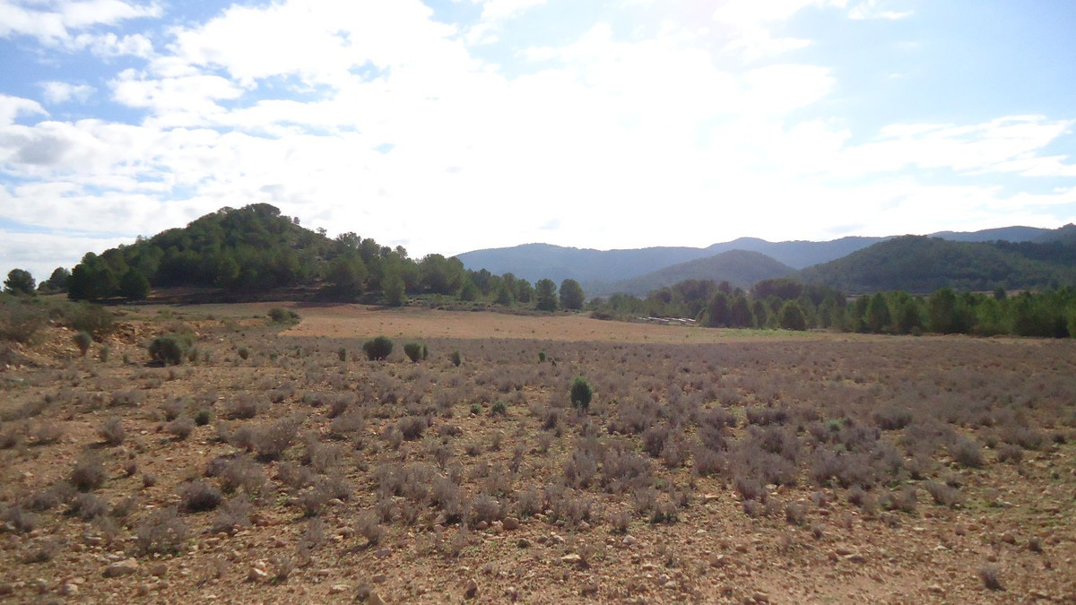 Grond te koop in Monóvar | 0 slaapkamers H5335879