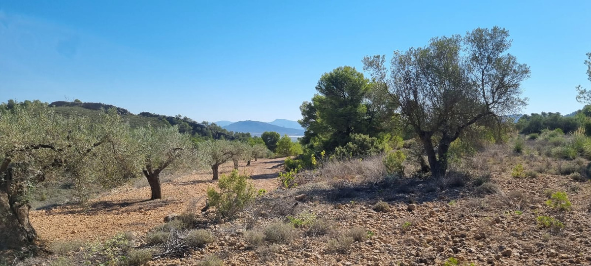 Property main view 4