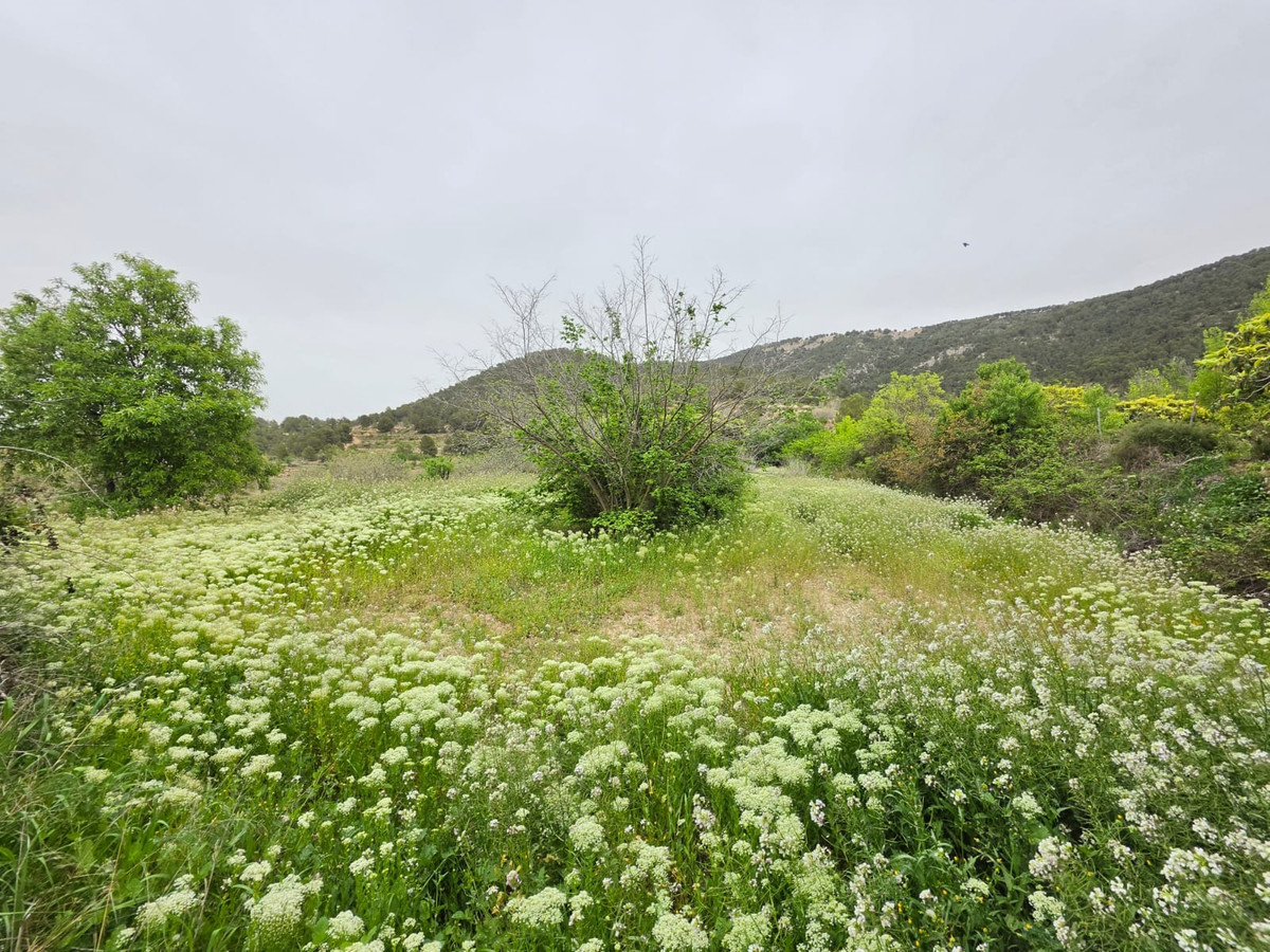 Grond te koop in Monóvar | 0 slaapkamers H5341219