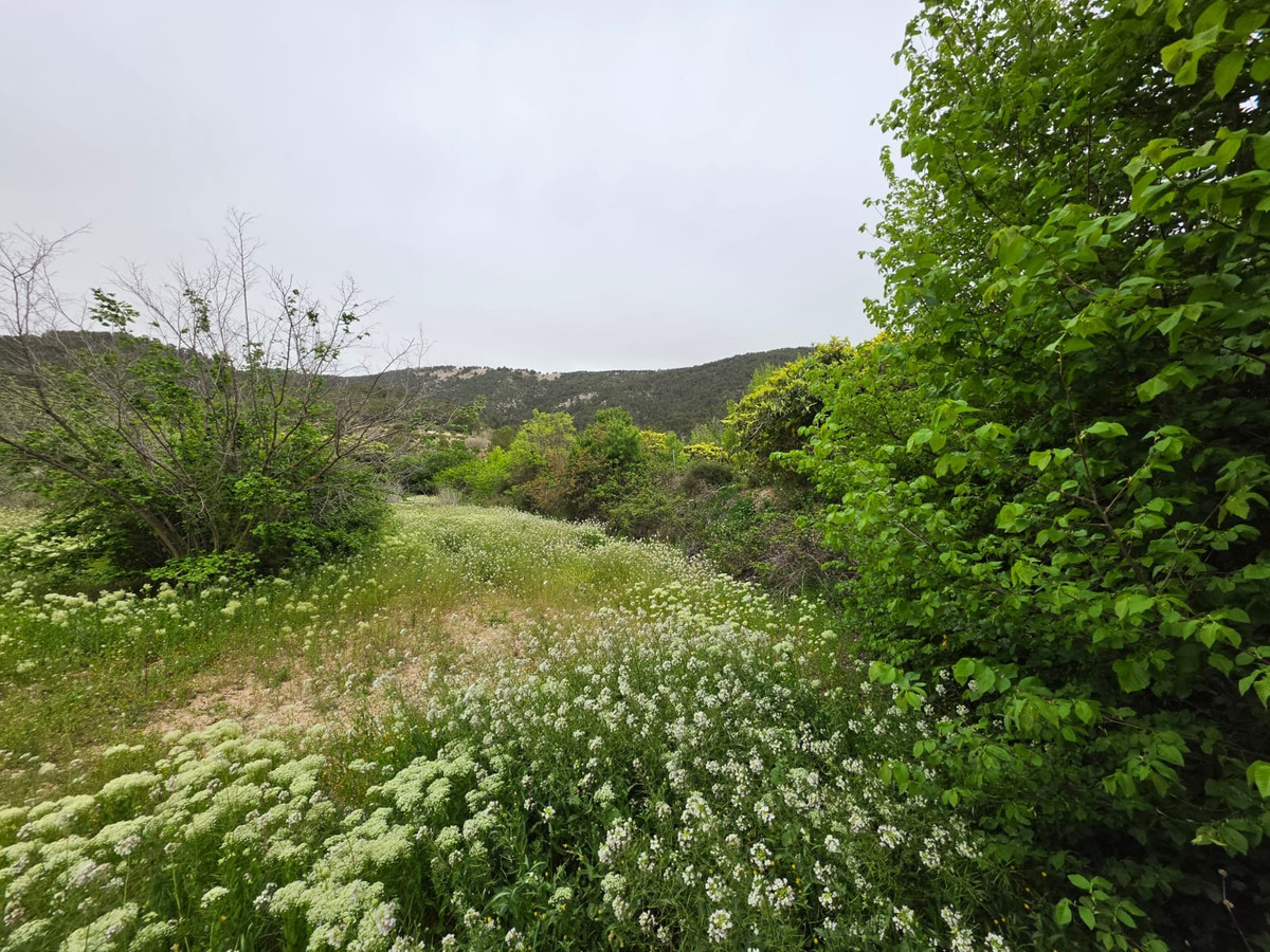 Grond te koop in Monóvar | 0 slaapkamers H5341219
