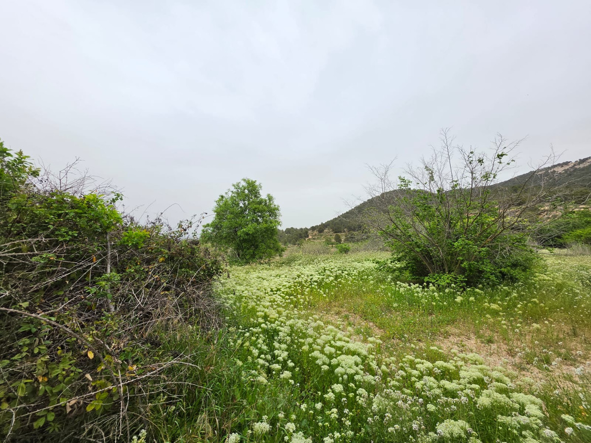 Grond te koop in Monóvar | 0 slaapkamers H5341219