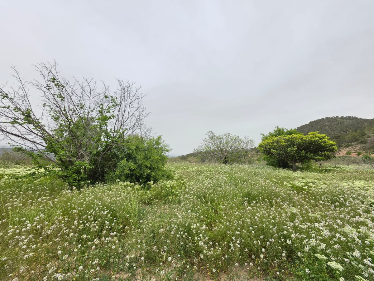 Grond te koop in Monóvar | 0 slaapkamers H5341219