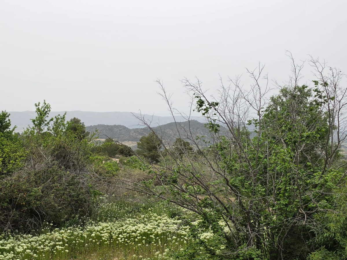 Grond te koop in Monóvar | 0 slaapkamers H5341219