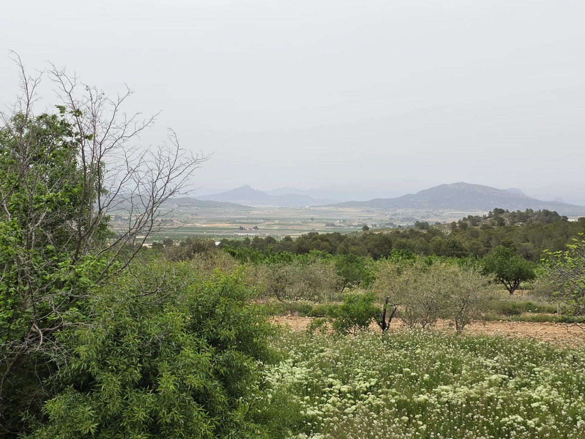 Grond te koop in Monóvar | 0 slaapkamers H5341219