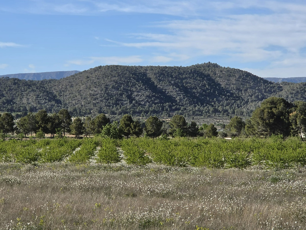 Property main view 10