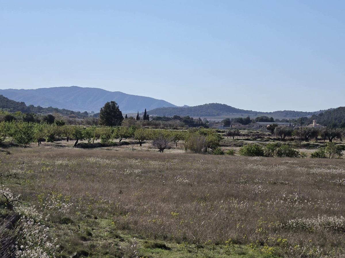 Property main view 12