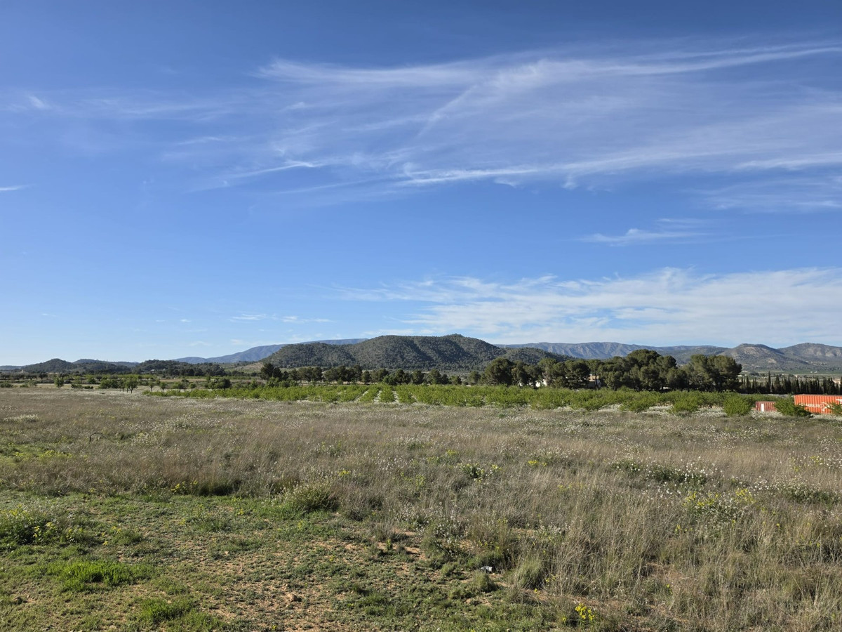 Property main view 13