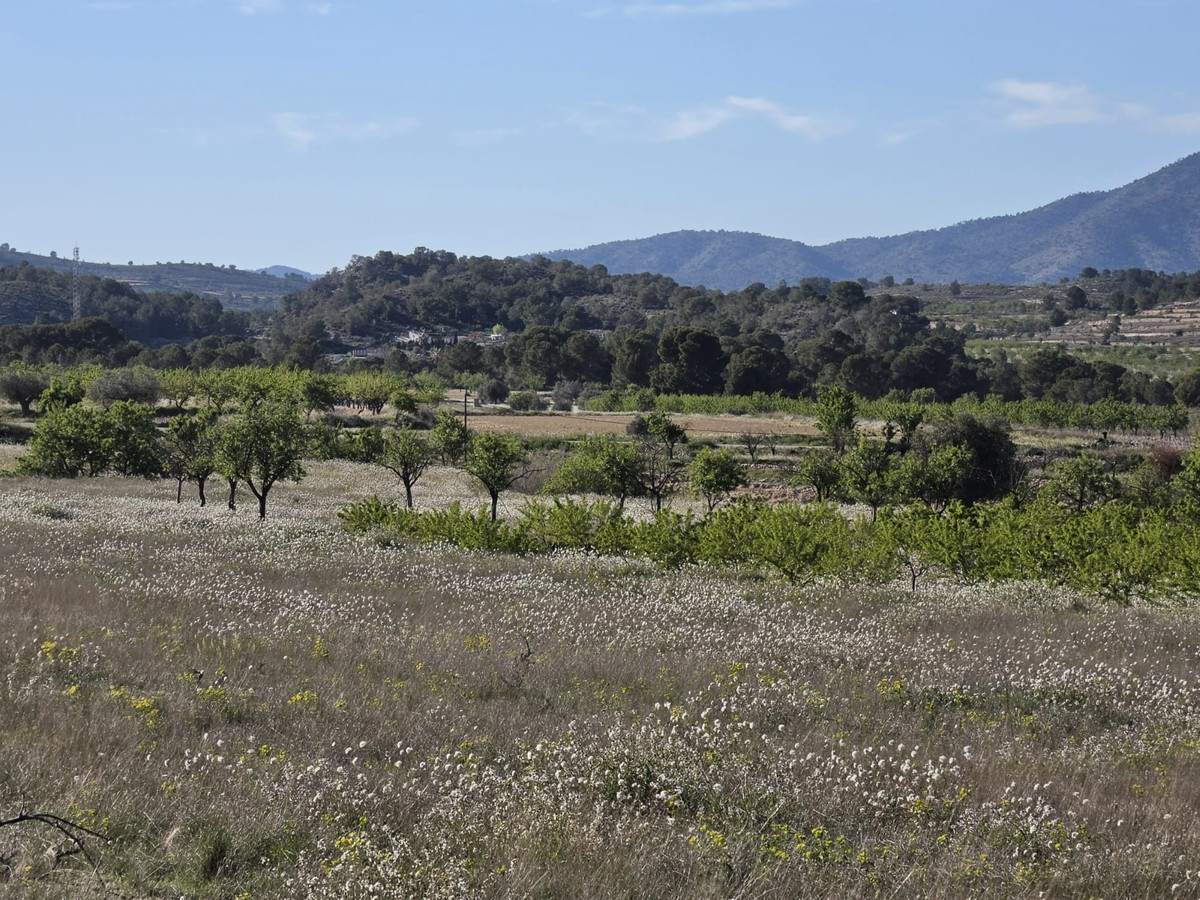 Property main view 14