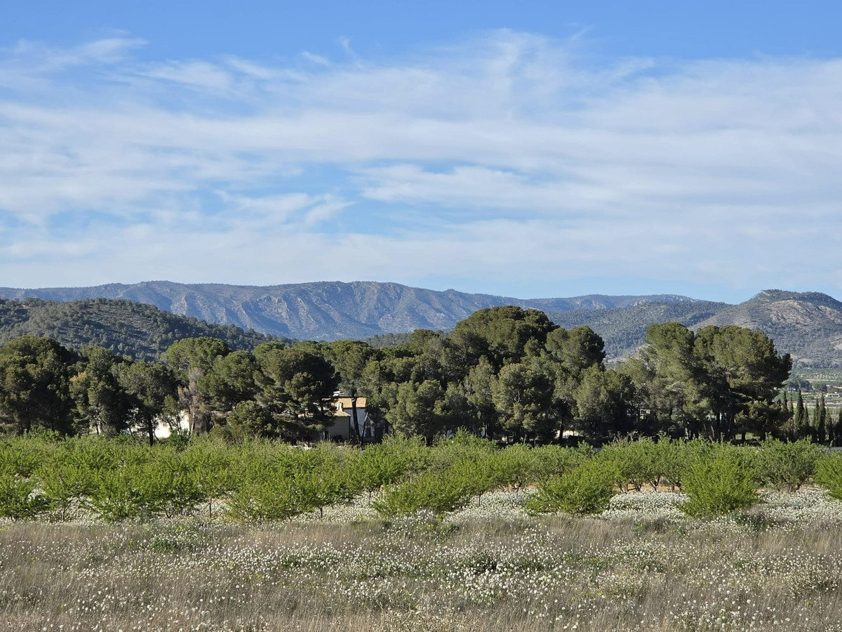 Property main view 2