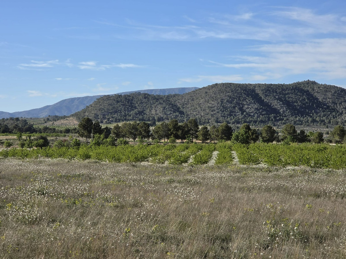 Property main view 3