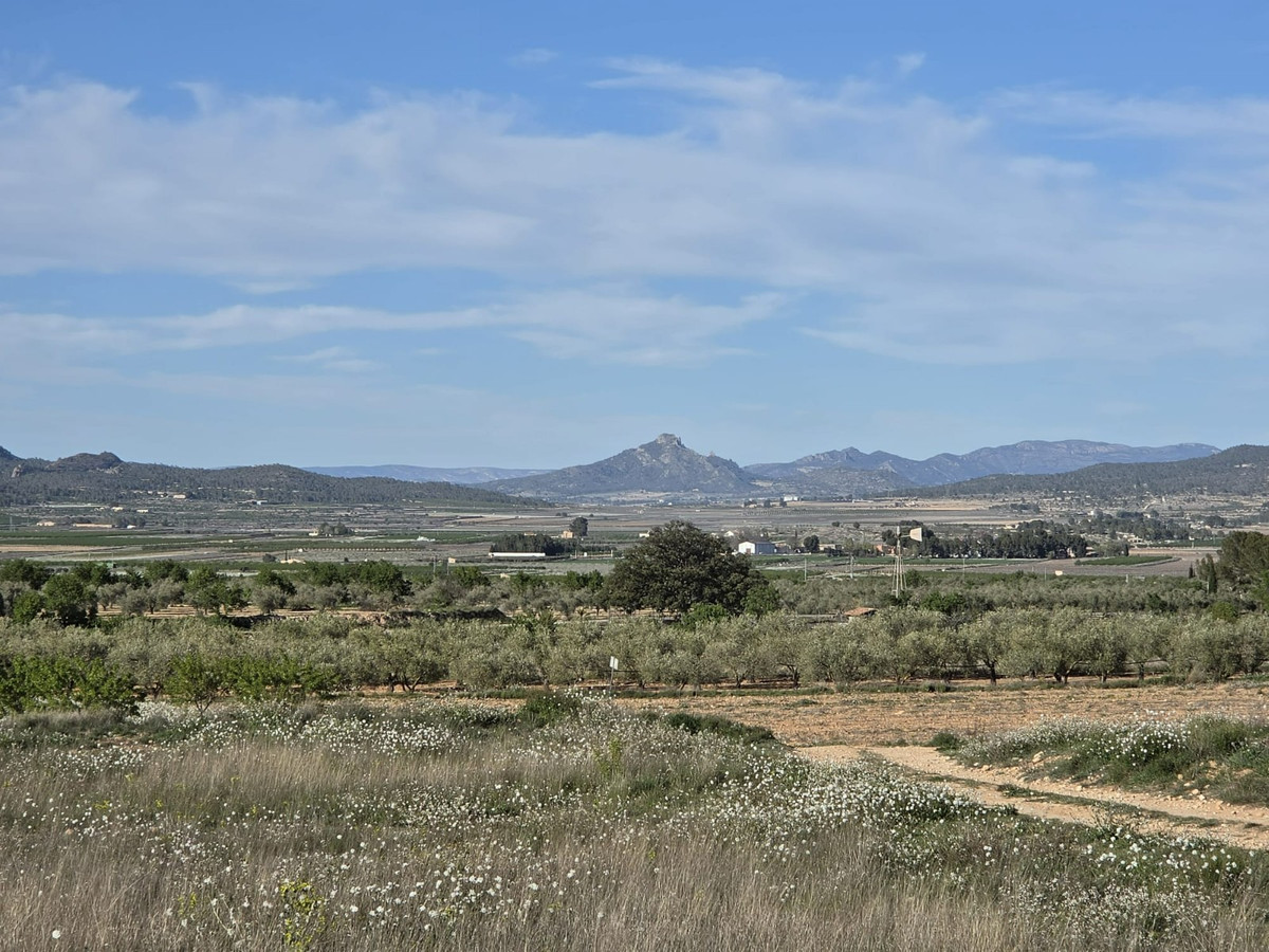 Property main view 6